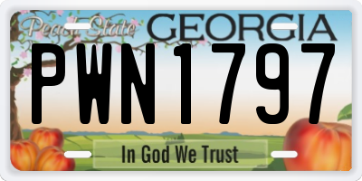 GA license plate PWN1797