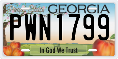 GA license plate PWN1799