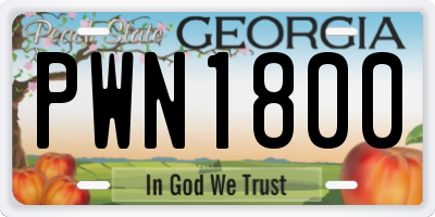 GA license plate PWN1800