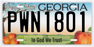 GA license plate PWN1801