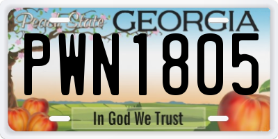 GA license plate PWN1805