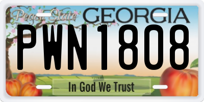 GA license plate PWN1808