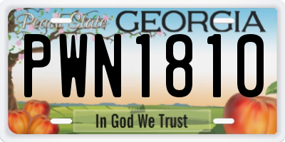 GA license plate PWN1810