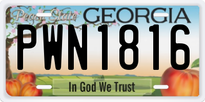 GA license plate PWN1816