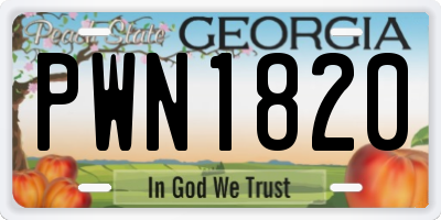 GA license plate PWN1820