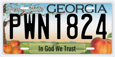 GA license plate PWN1824