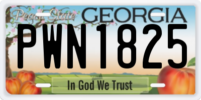 GA license plate PWN1825