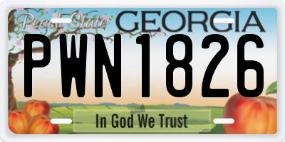 GA license plate PWN1826