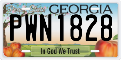 GA license plate PWN1828