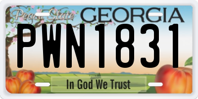 GA license plate PWN1831