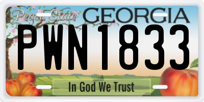 GA license plate PWN1833