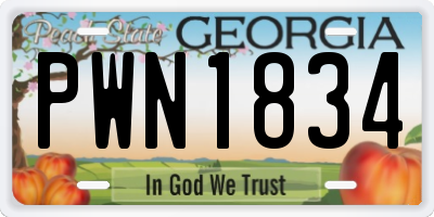 GA license plate PWN1834