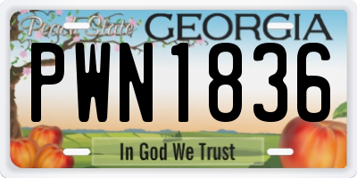 GA license plate PWN1836