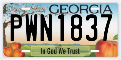 GA license plate PWN1837