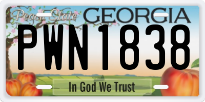 GA license plate PWN1838