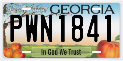 GA license plate PWN1841