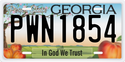 GA license plate PWN1854