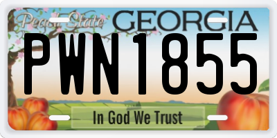 GA license plate PWN1855