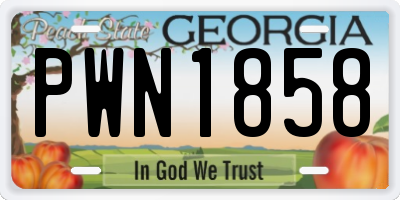 GA license plate PWN1858