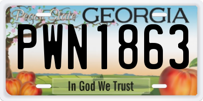 GA license plate PWN1863