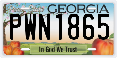 GA license plate PWN1865