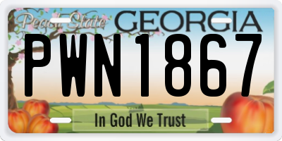 GA license plate PWN1867