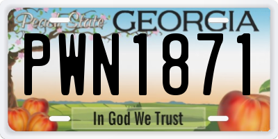GA license plate PWN1871