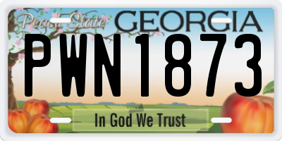 GA license plate PWN1873