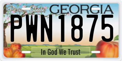GA license plate PWN1875