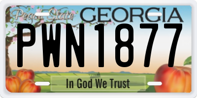 GA license plate PWN1877