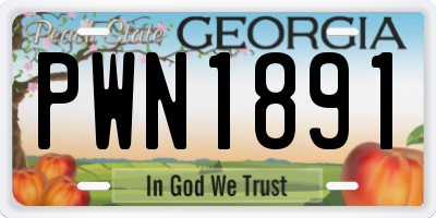 GA license plate PWN1891