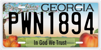 GA license plate PWN1894