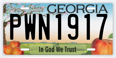 GA license plate PWN1917