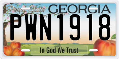 GA license plate PWN1918