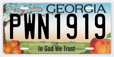 GA license plate PWN1919