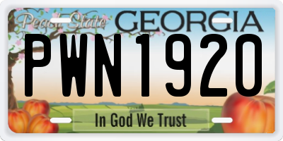 GA license plate PWN1920