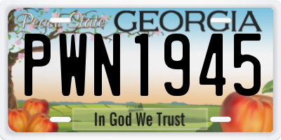 GA license plate PWN1945