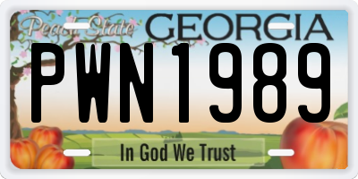 GA license plate PWN1989