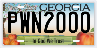 GA license plate PWN2000