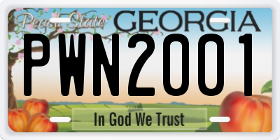GA license plate PWN2001