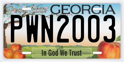 GA license plate PWN2003