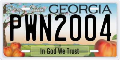 GA license plate PWN2004