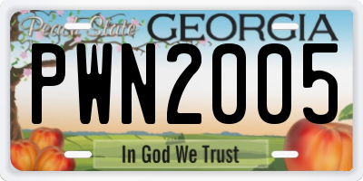 GA license plate PWN2005