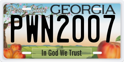 GA license plate PWN2007