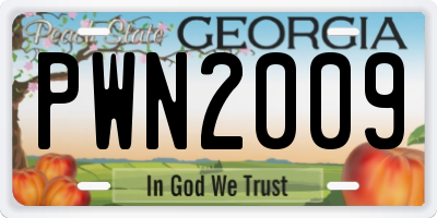 GA license plate PWN2009