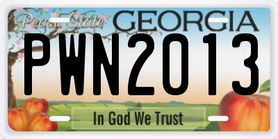 GA license plate PWN2013