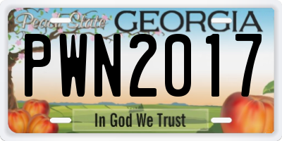 GA license plate PWN2017