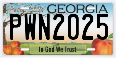 GA license plate PWN2025