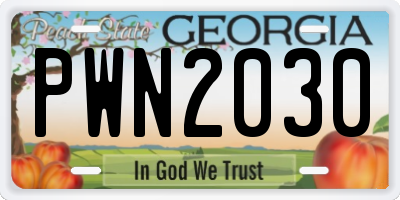 GA license plate PWN2030