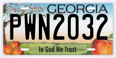 GA license plate PWN2032